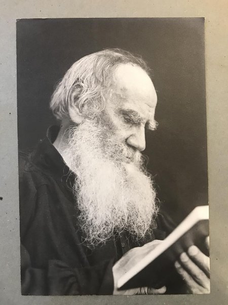 Л.Н. Толстой в темной блузе, с книгой в руках