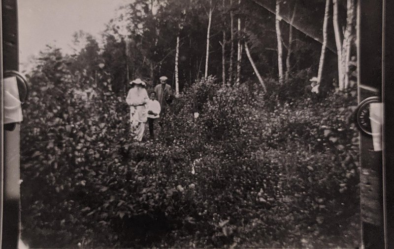 Л.Н. Толстой, П.А. Сергеенко, художник М.В. Нестеров и крестьянский мальчик около берёзовой рощи