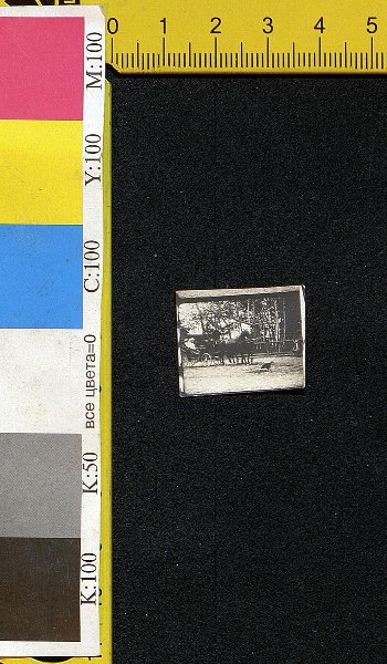 Л.Н. Толстой и С.А. Толстая на ст. Ясенки