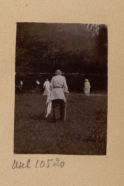 Л.Н. Толстой идет по лугу с палкой в правой руке и простыней в левой