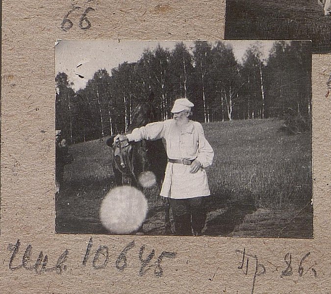 Л.Н. Толстой с лошадью