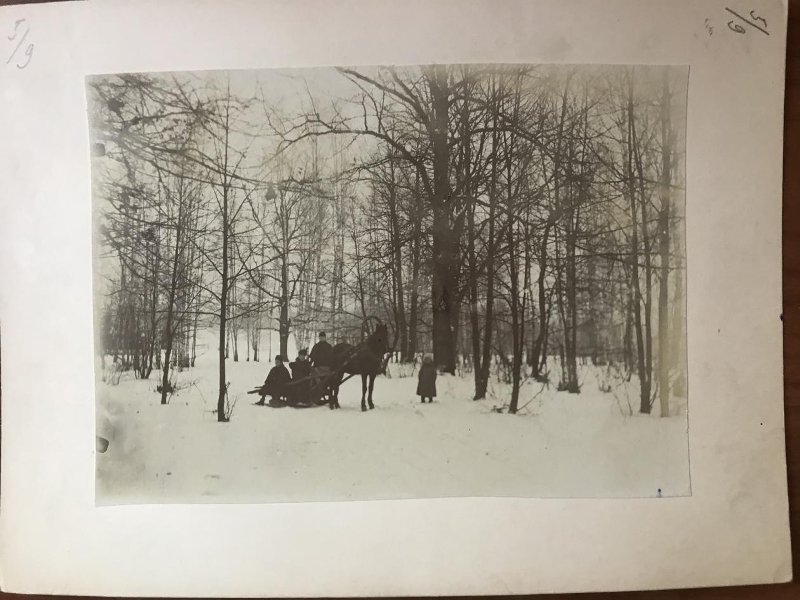 А.Л. Толстая, С.Н. Колокольцева (в санях) и дети И.Л. Толстого Анна с братом Мишей