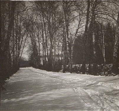 «Прешпект» в Ясной Поляне