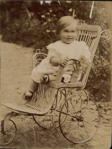 Н.Л. Толстой