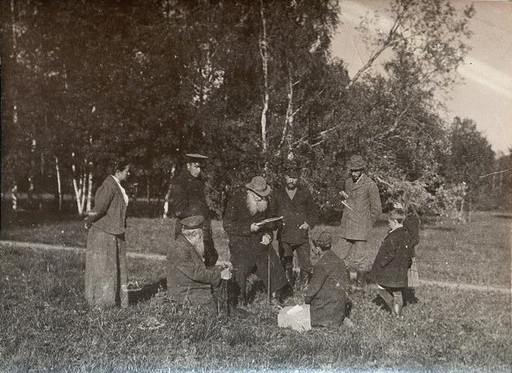 Л.Н. Толстой на лужайке читает Соломахиным (офицер — справа, сын — слева)
