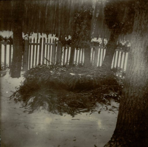 Могила Л.Н. Толстого зимой 1910—1911 г.